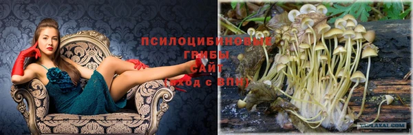 бутират Балабаново